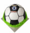 Football theme cake shaped like a soccer ball with green icing base